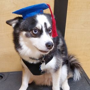 Meet your Posher, Morgan